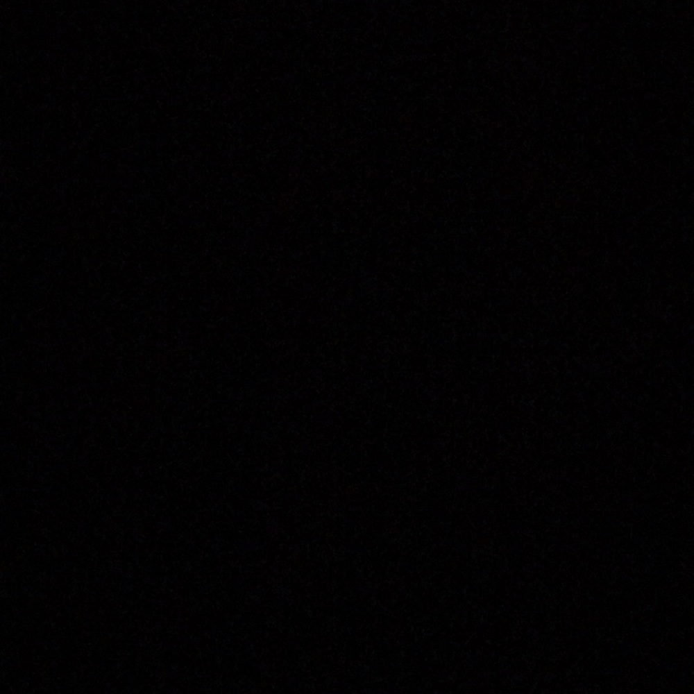 Meet your Posher, Jessie